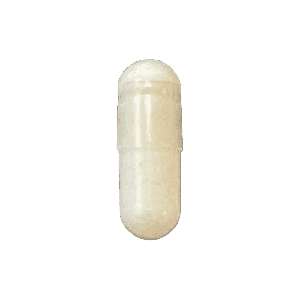 Zinc - casa de sante