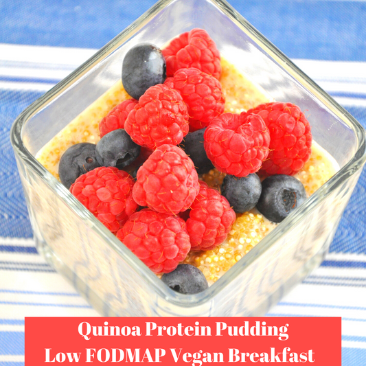 Low FODMAP Quinoa Protein Pudding  (Vegan, Egg Free)