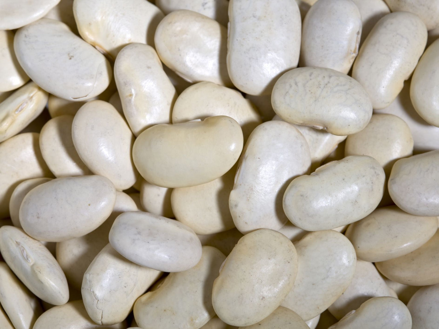 Lima beans are on the top 10 list of low fodmap foods as per Monash University. The serving size