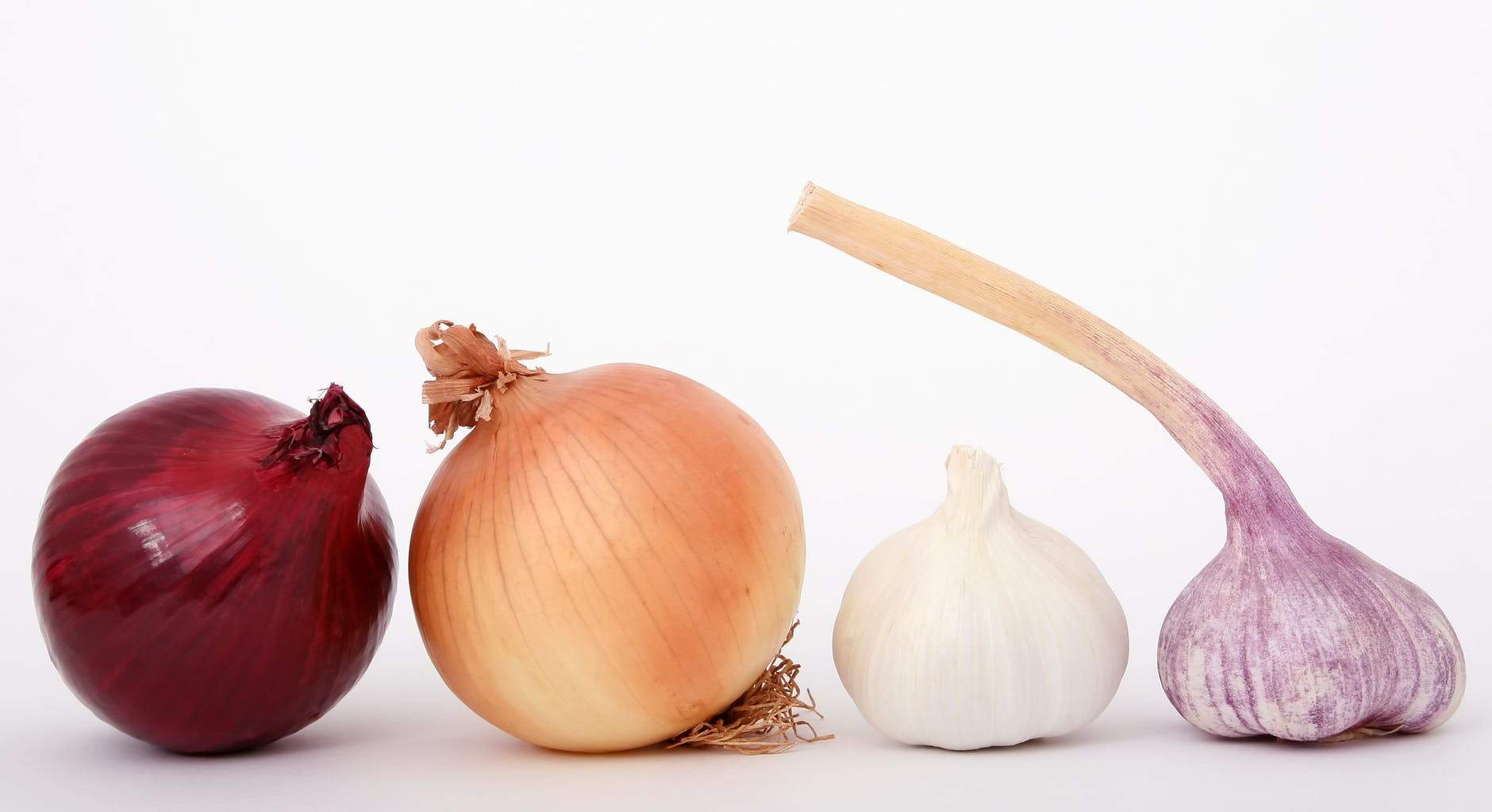 Foods high in fructans – casa de sante