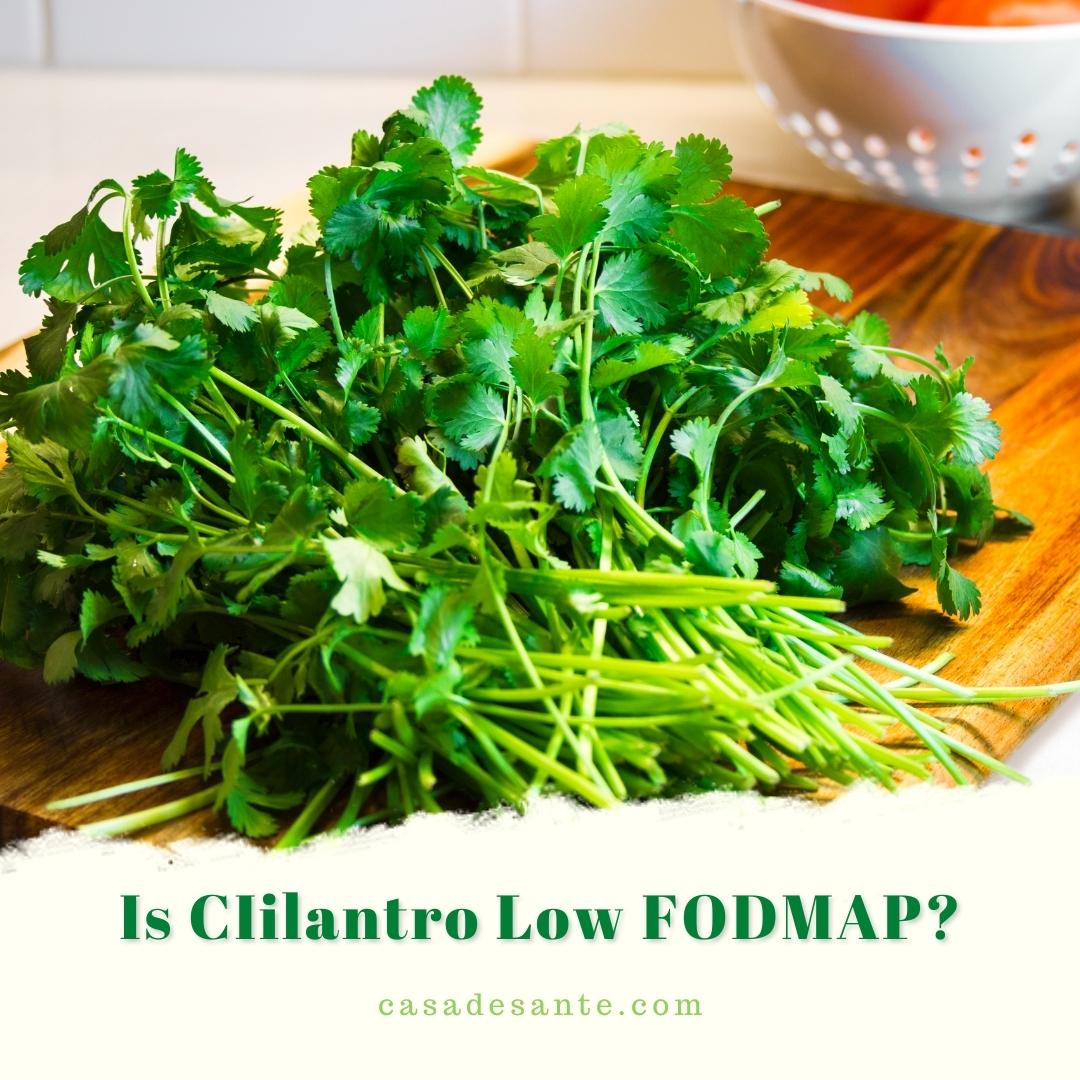 Is Cilantro Low FODMAP? casa de sante