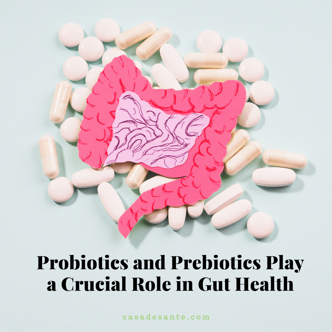 Probiotics and Prebiotics Play a Crucial Role in Gut Health - casa de sante