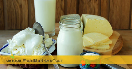 What is IBS and How to Treat It - casa de sante