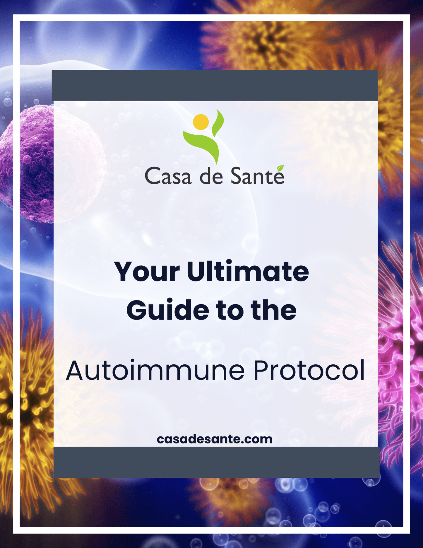 The Ultimate Guide to the Autoimmune Protocol - casa de sante